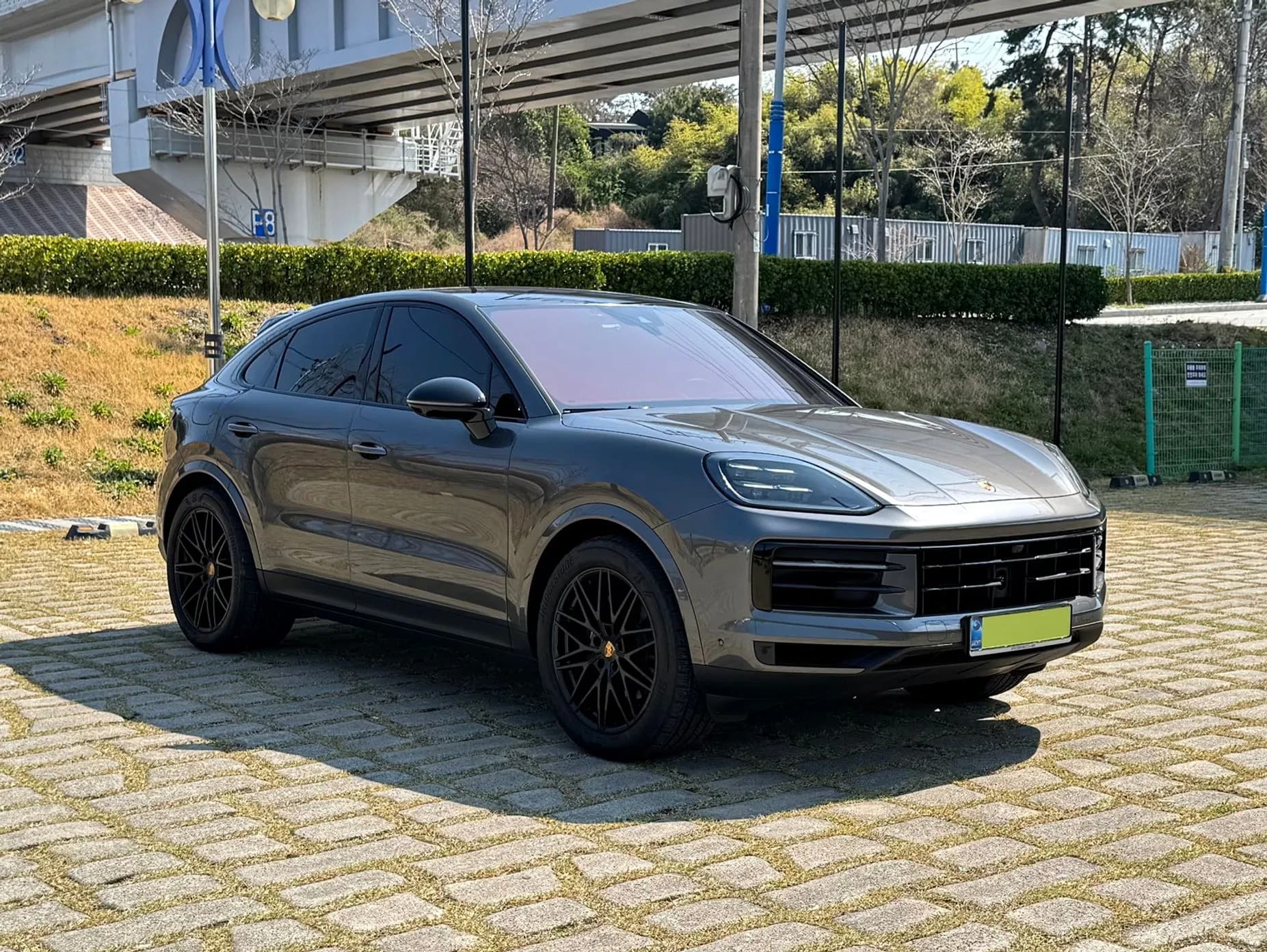 Cayenne (PO536)