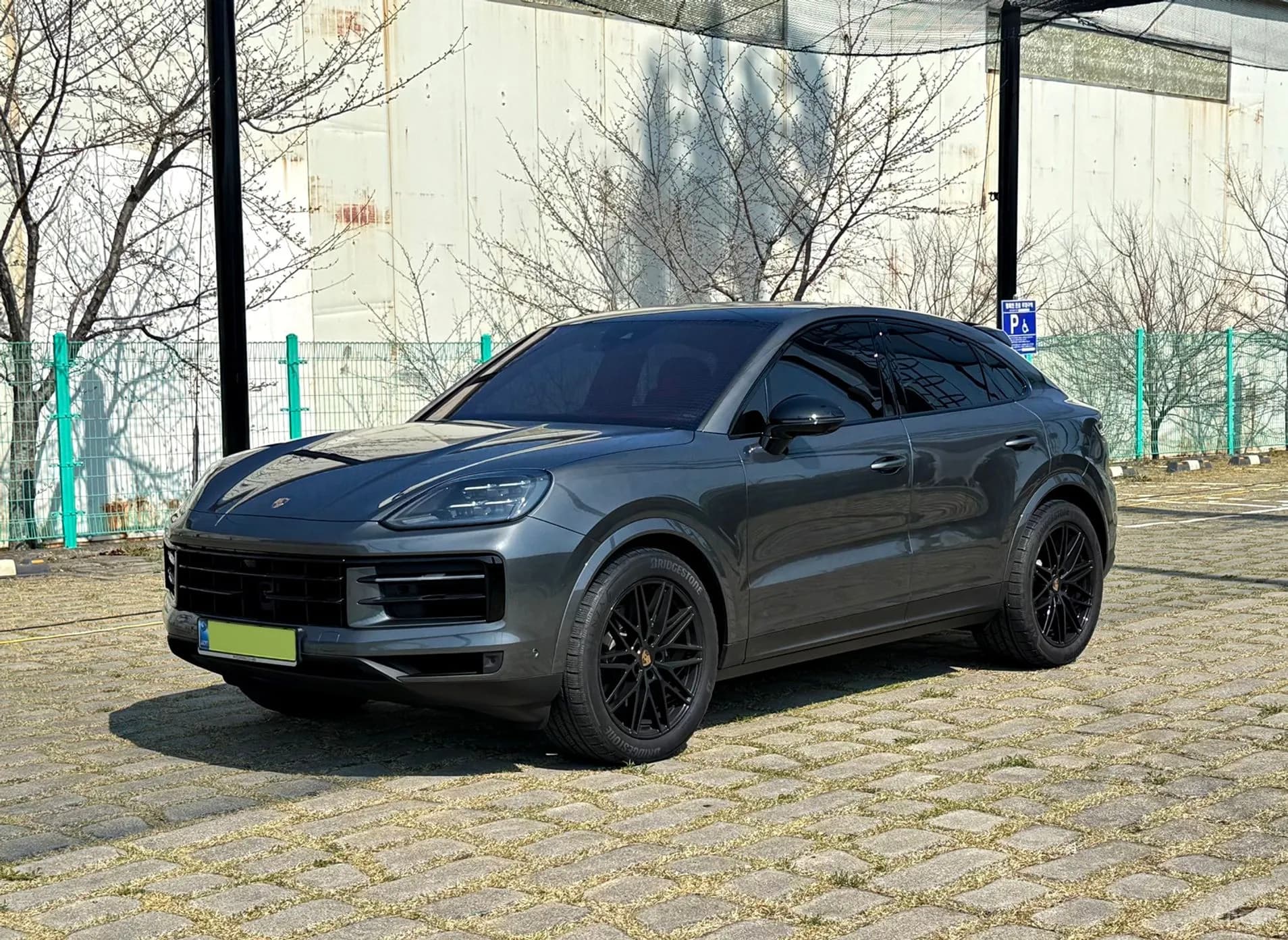 Cayenne (PO536)