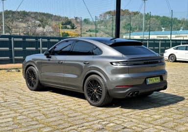 Cayenne (PO536)