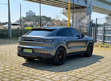 Cayenne (PO536)