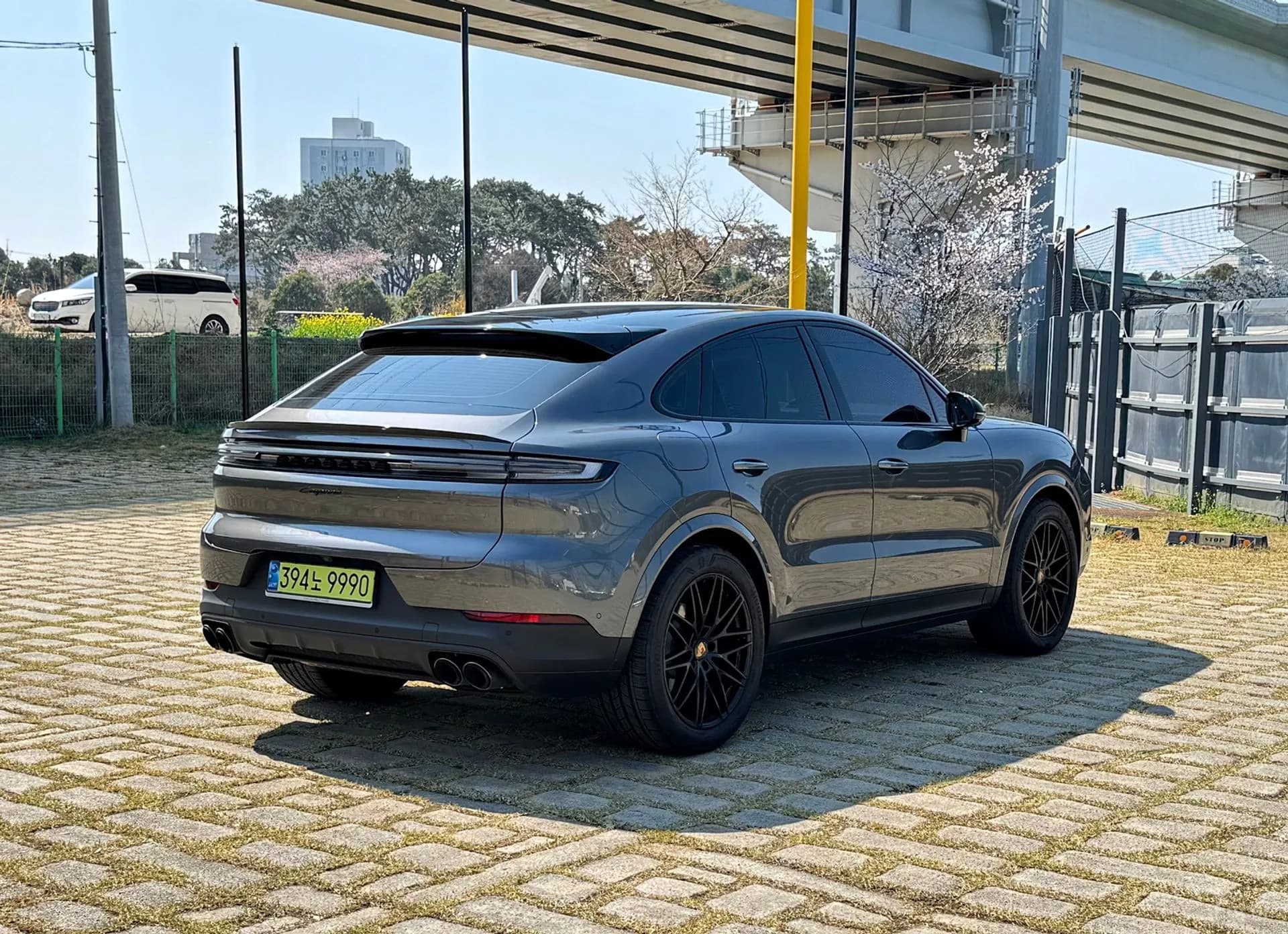 Cayenne (PO536)