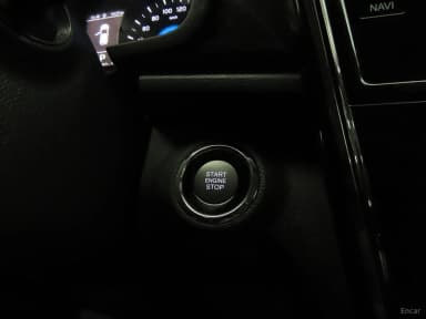 Berry New Tivoli