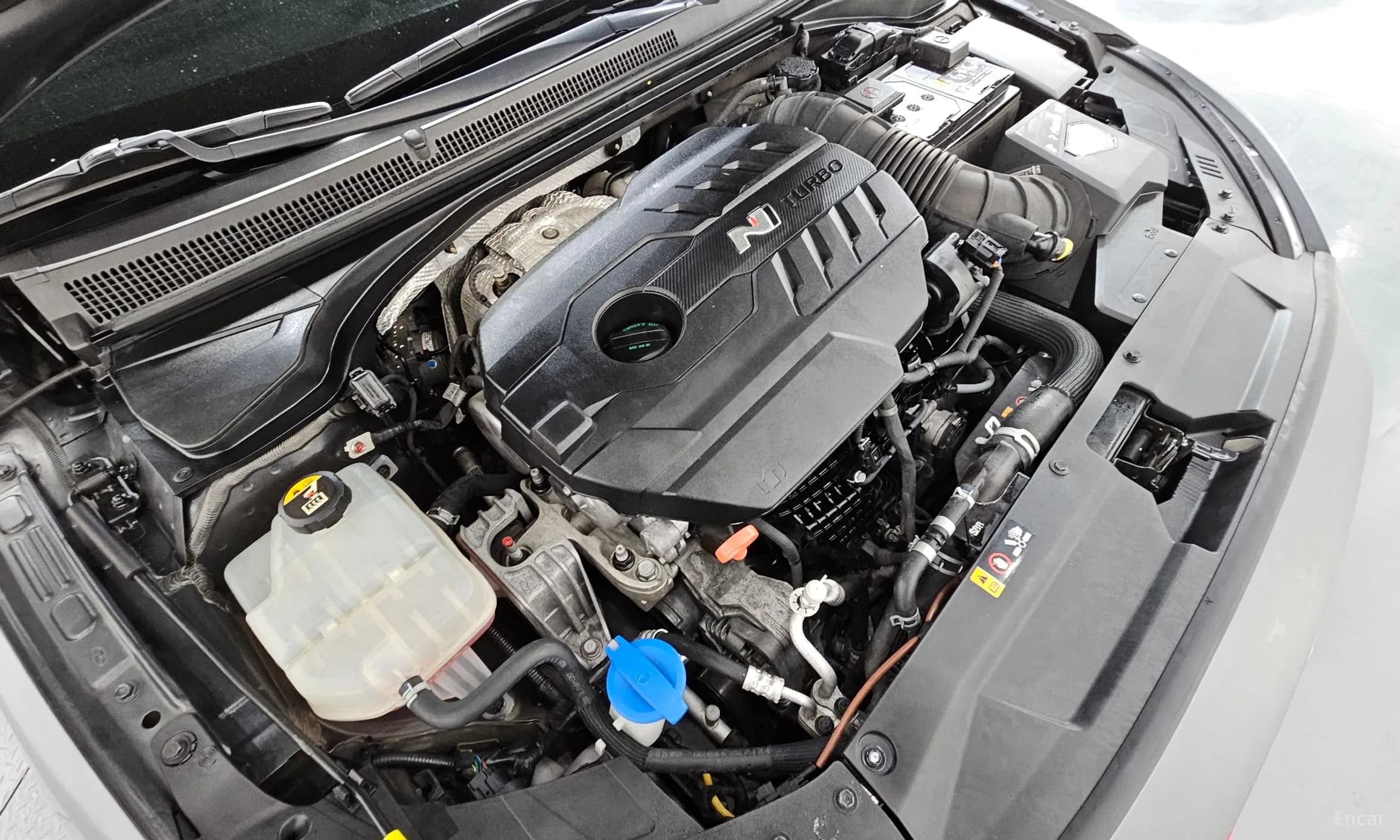 Veloster (JS)