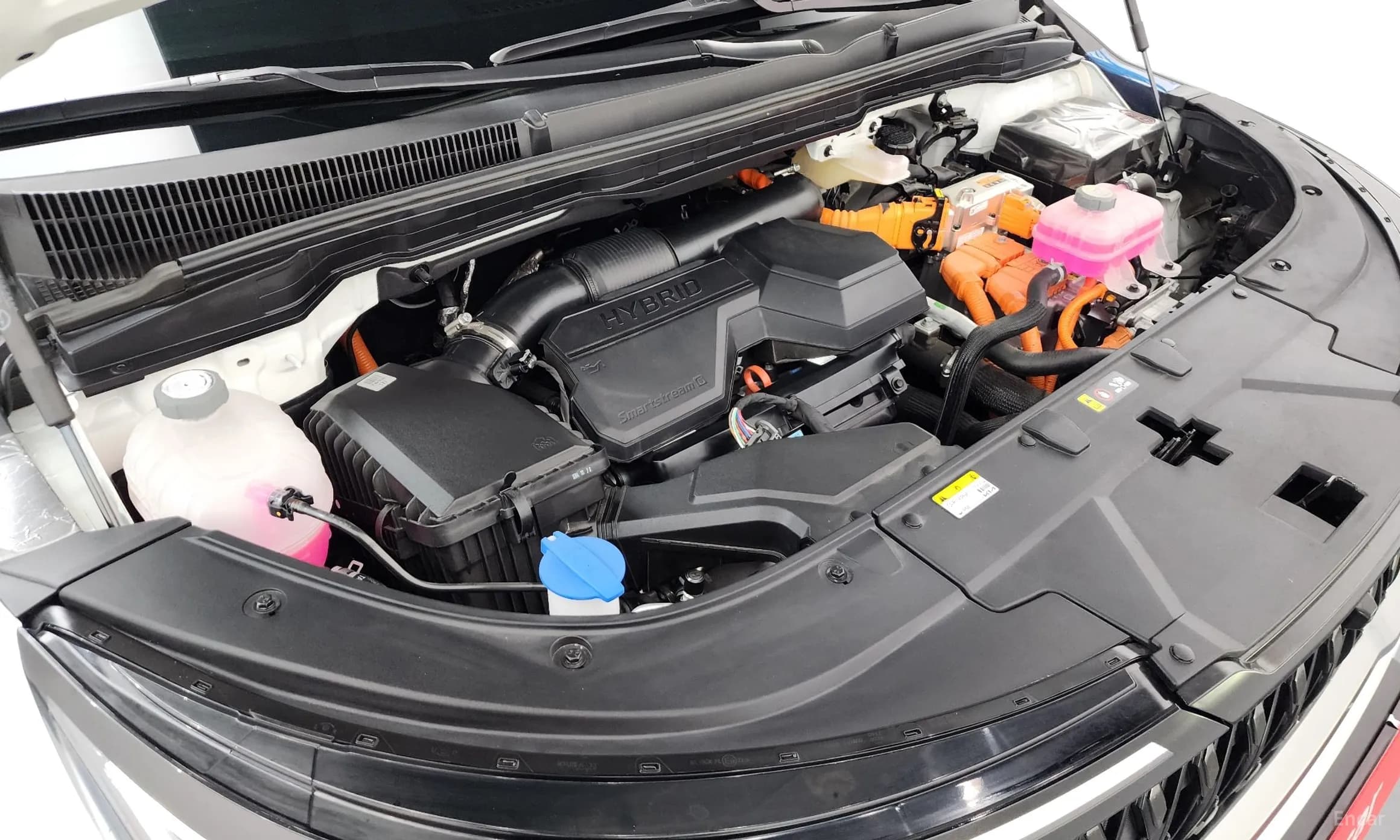 Carnival 4th Generation