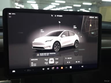 Model Y