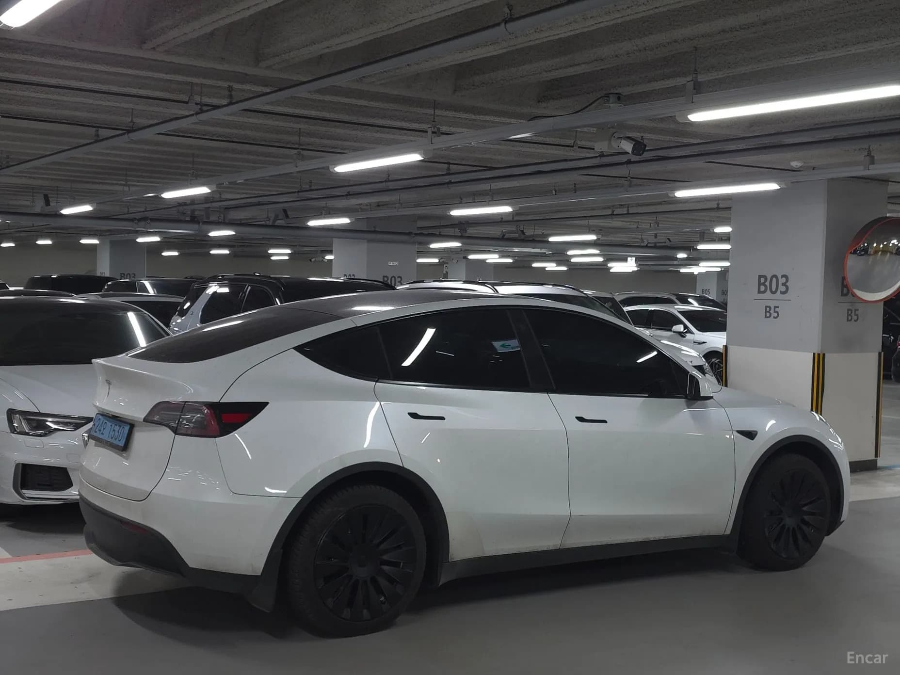 Model Y