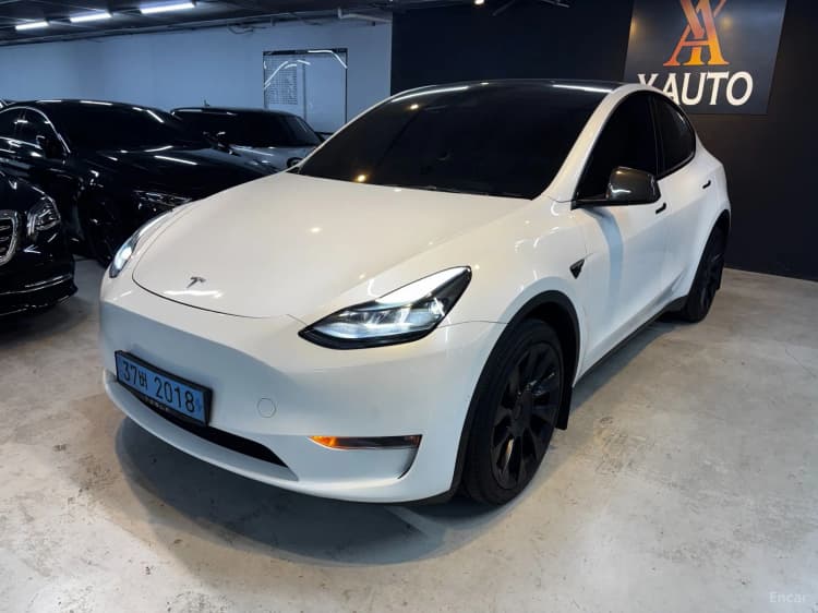 Model Y