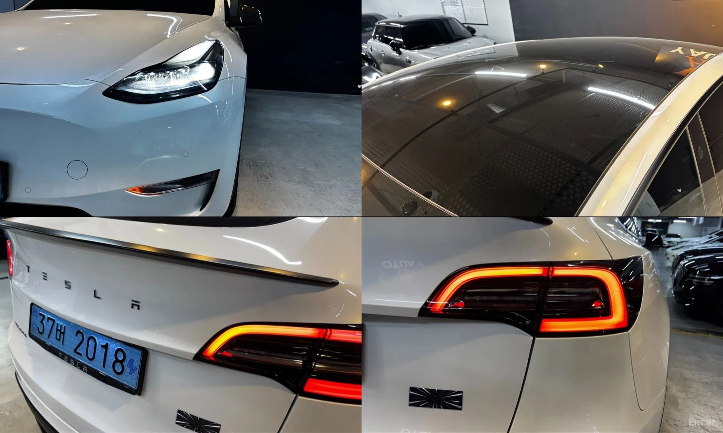 Model Y
