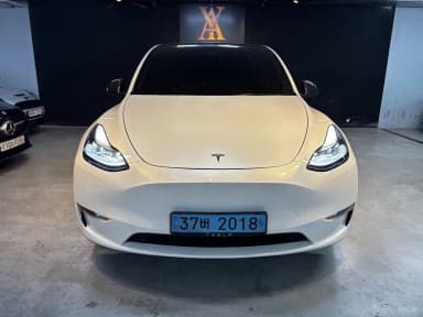 Model Y