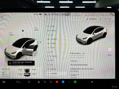 Model Y