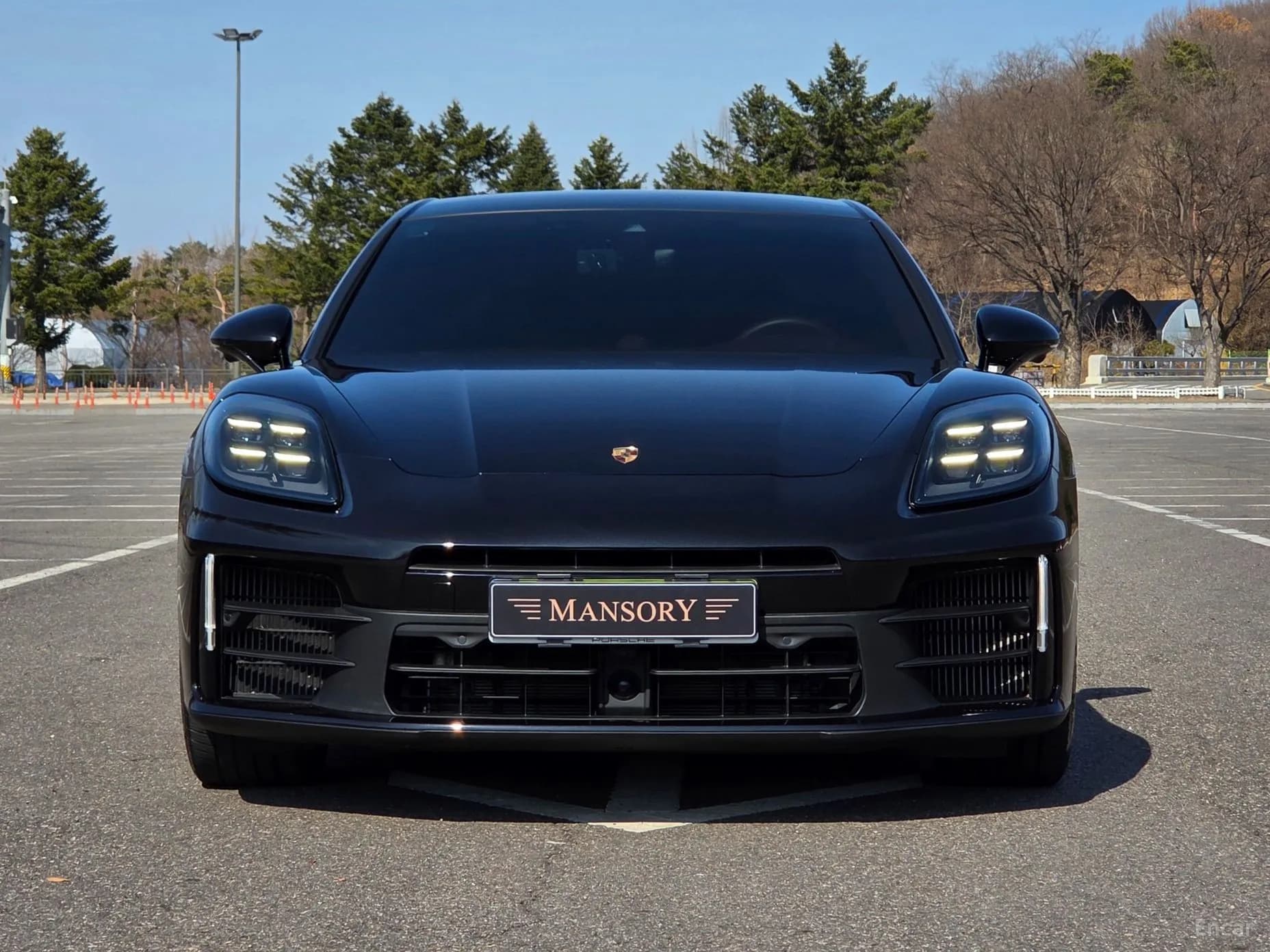 Panamera (976)