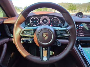 Panamera (976)