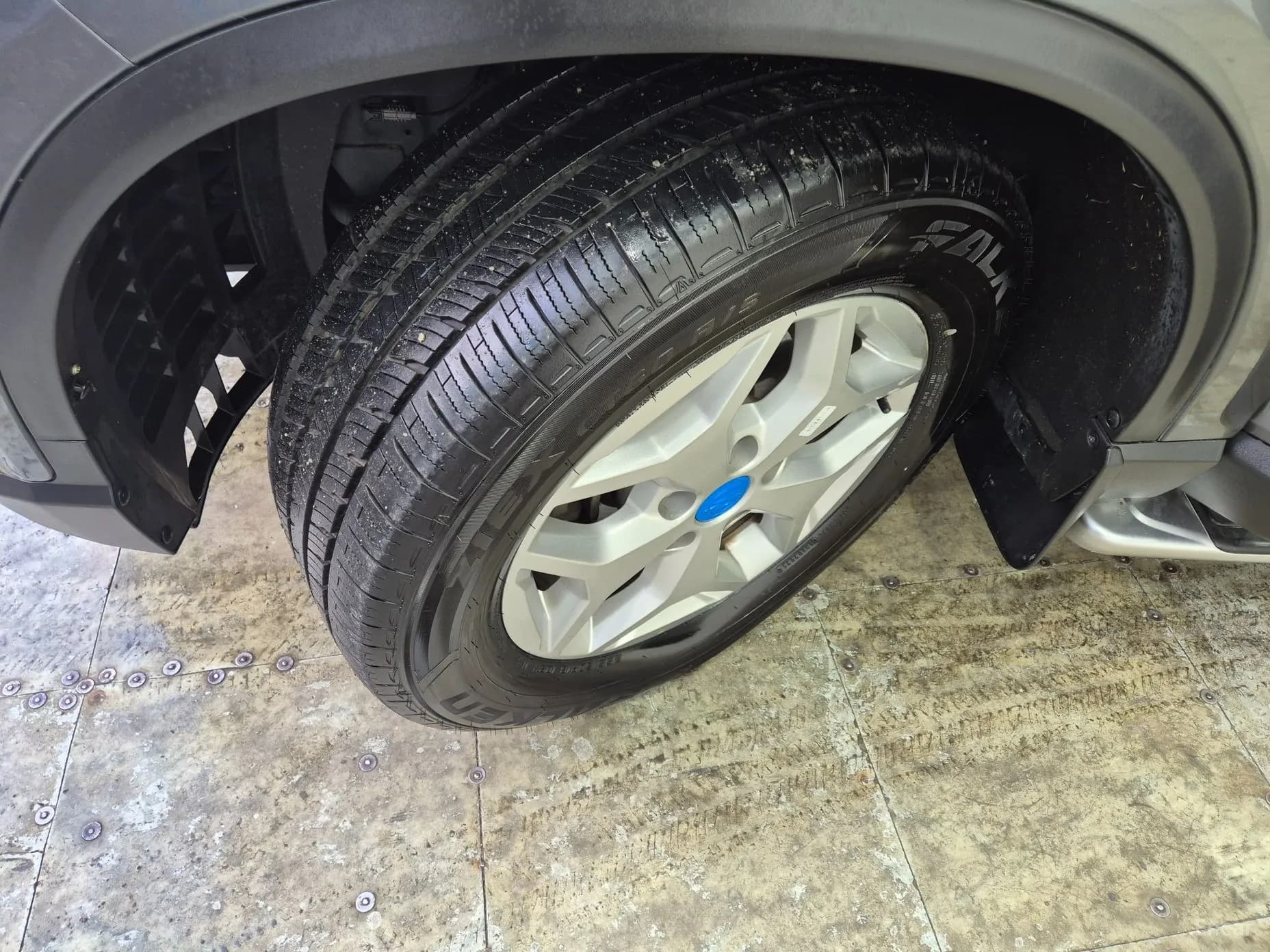Rexton Sports