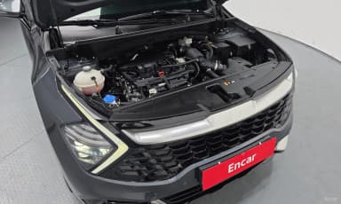 Sportage 5th Generation