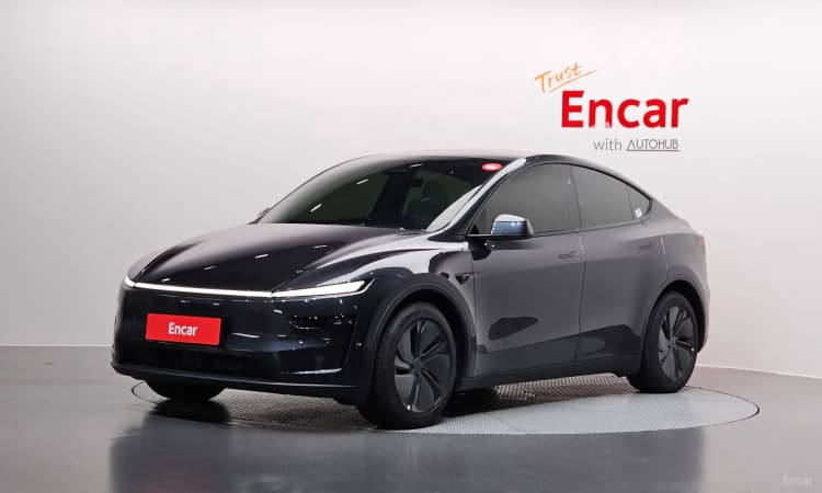 Model Y