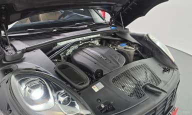 Macan