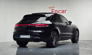 Macan