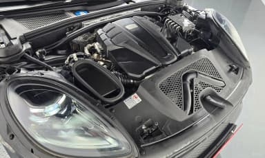 Macan