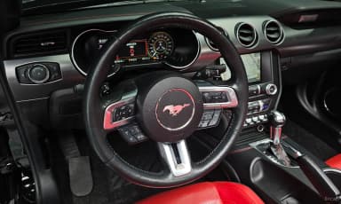 Mustang