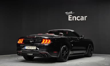 Mustang