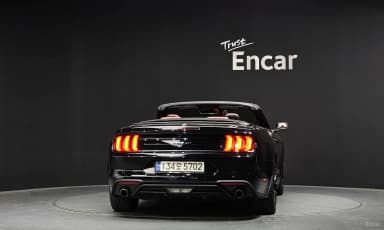 Mustang