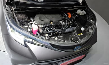 Siena 4th generation