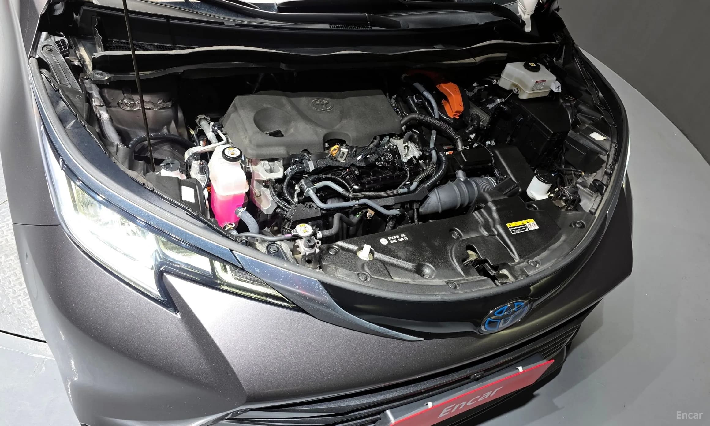 Siena 4th generation