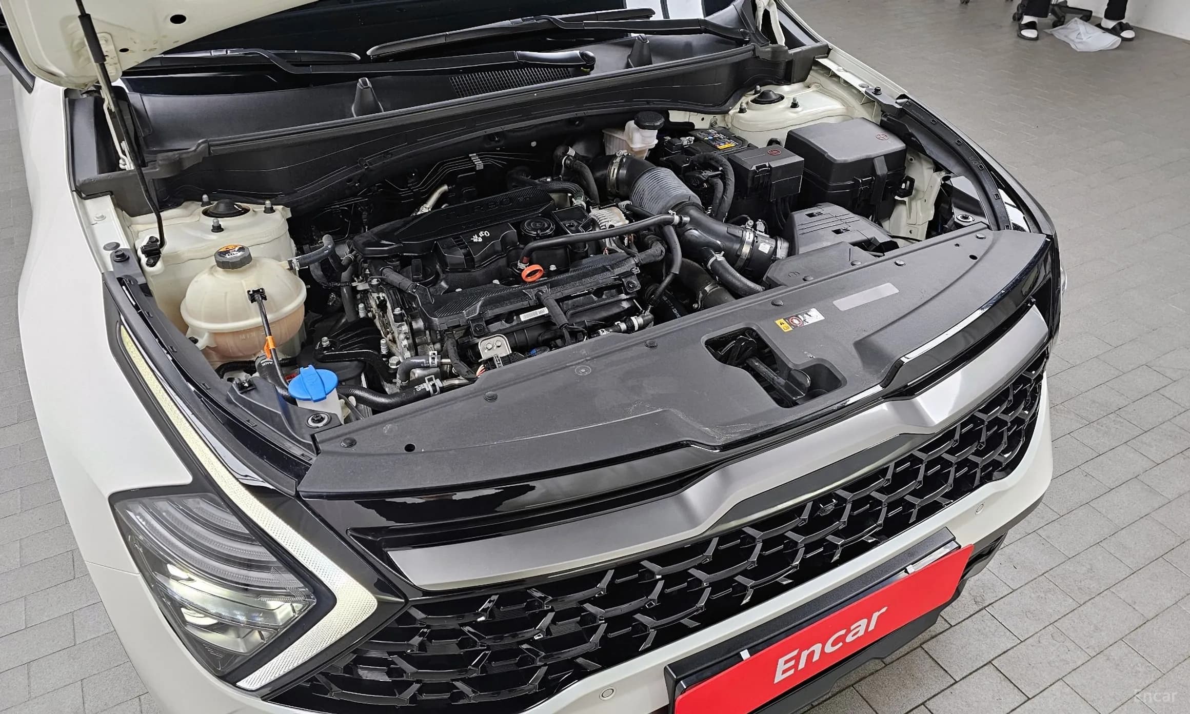 Sportage 5th Generation