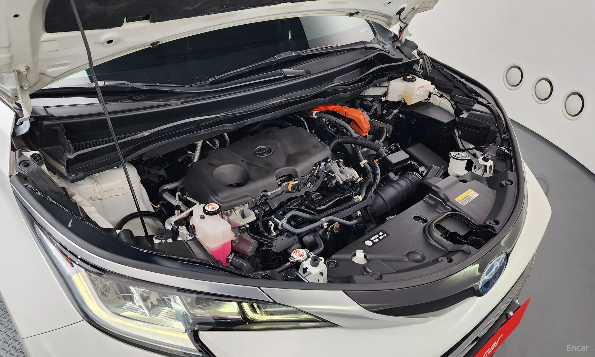 Siena 4th generation