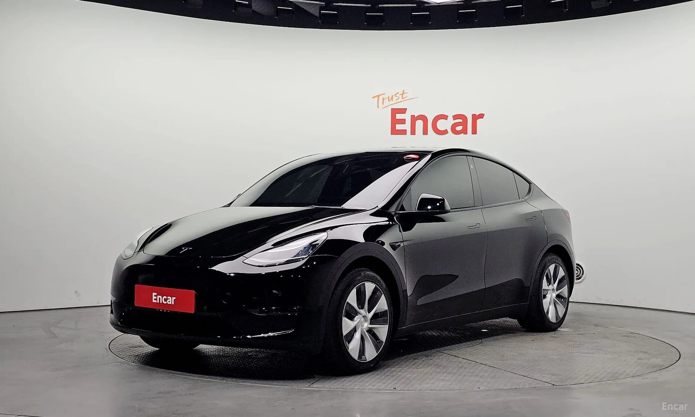 Model Y
