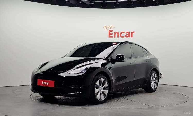 Model Y