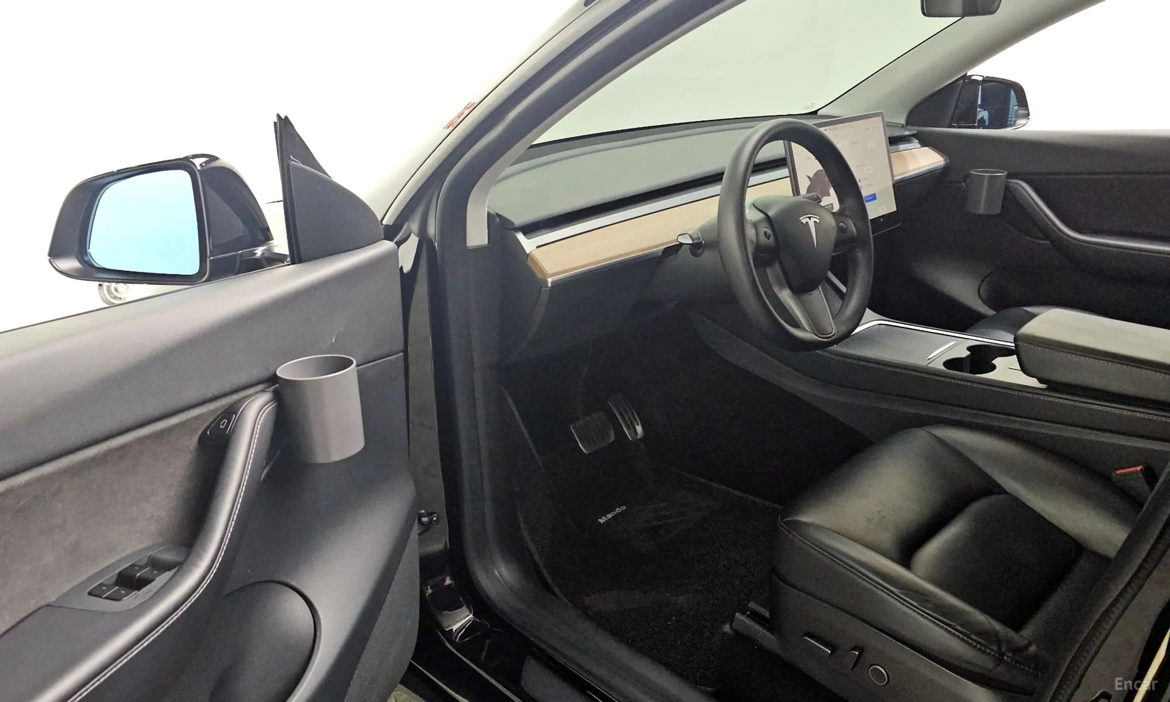 Model Y