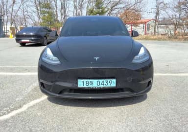 Model Y