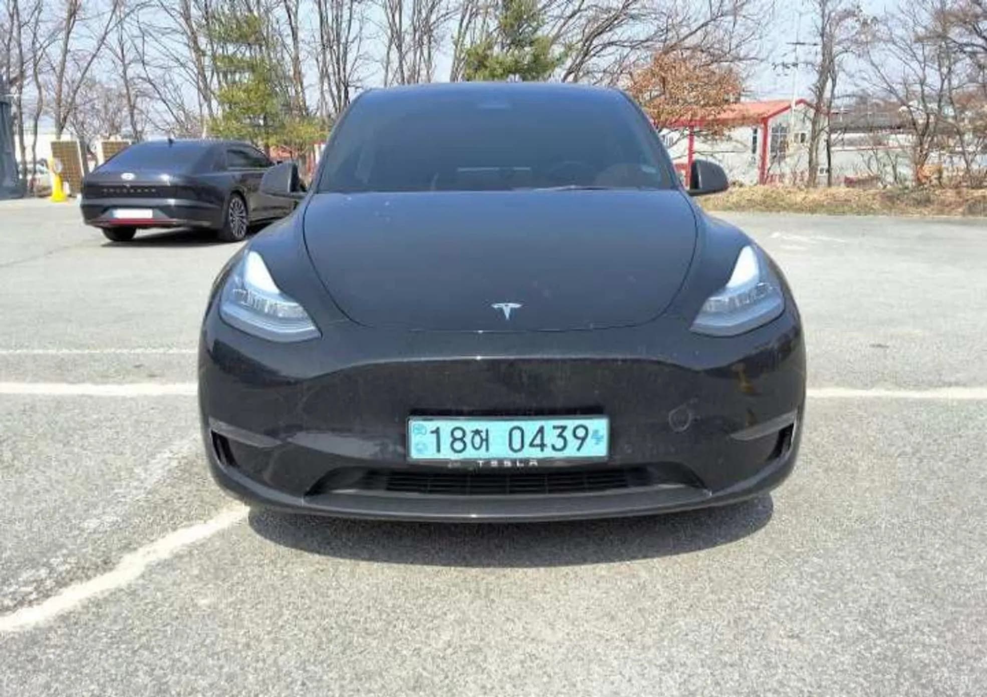 Model Y