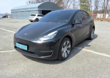 Model Y