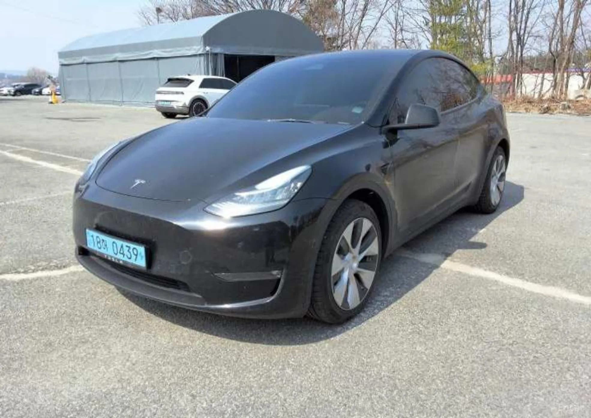 Model Y