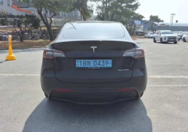 Model Y