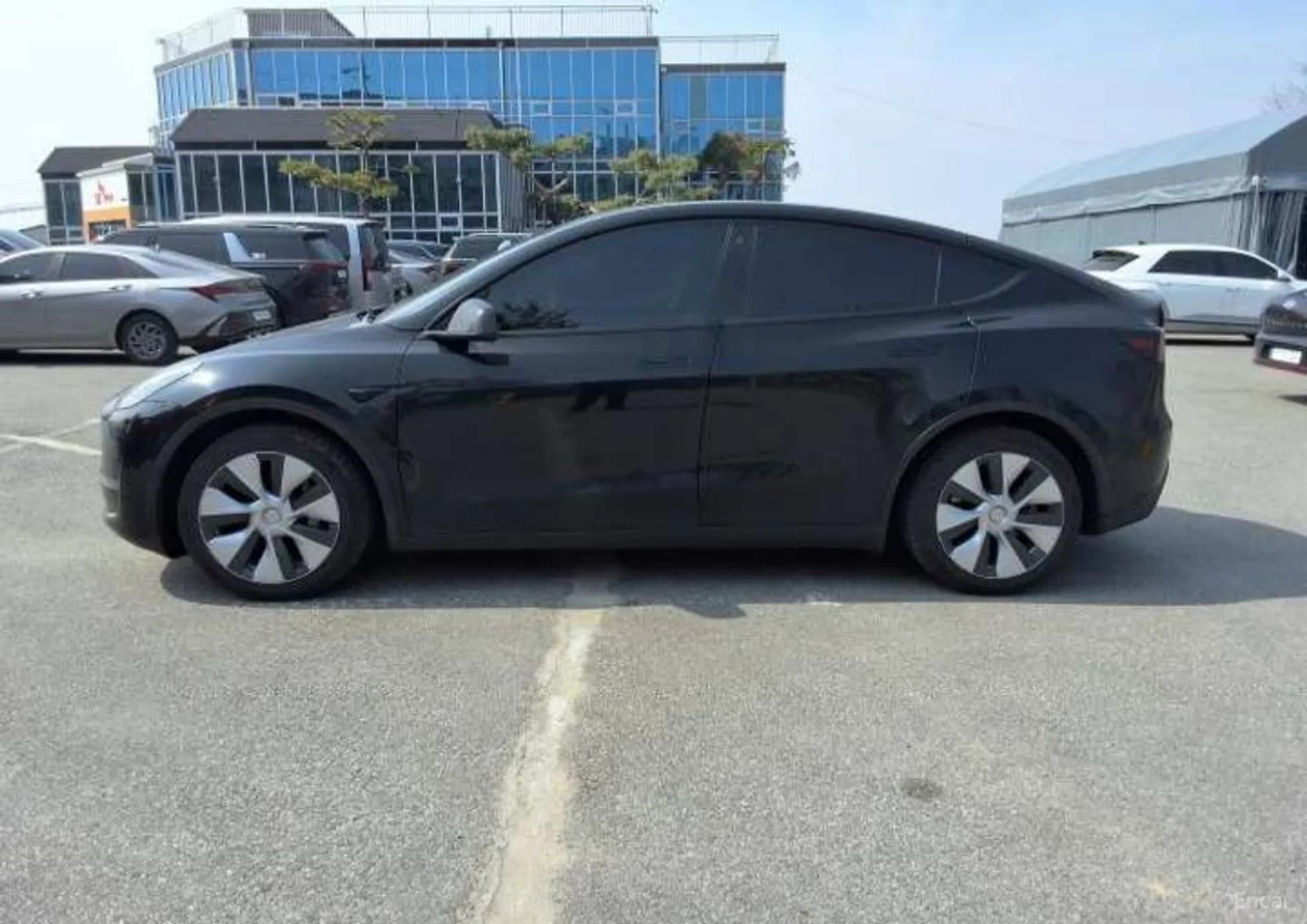 Model Y