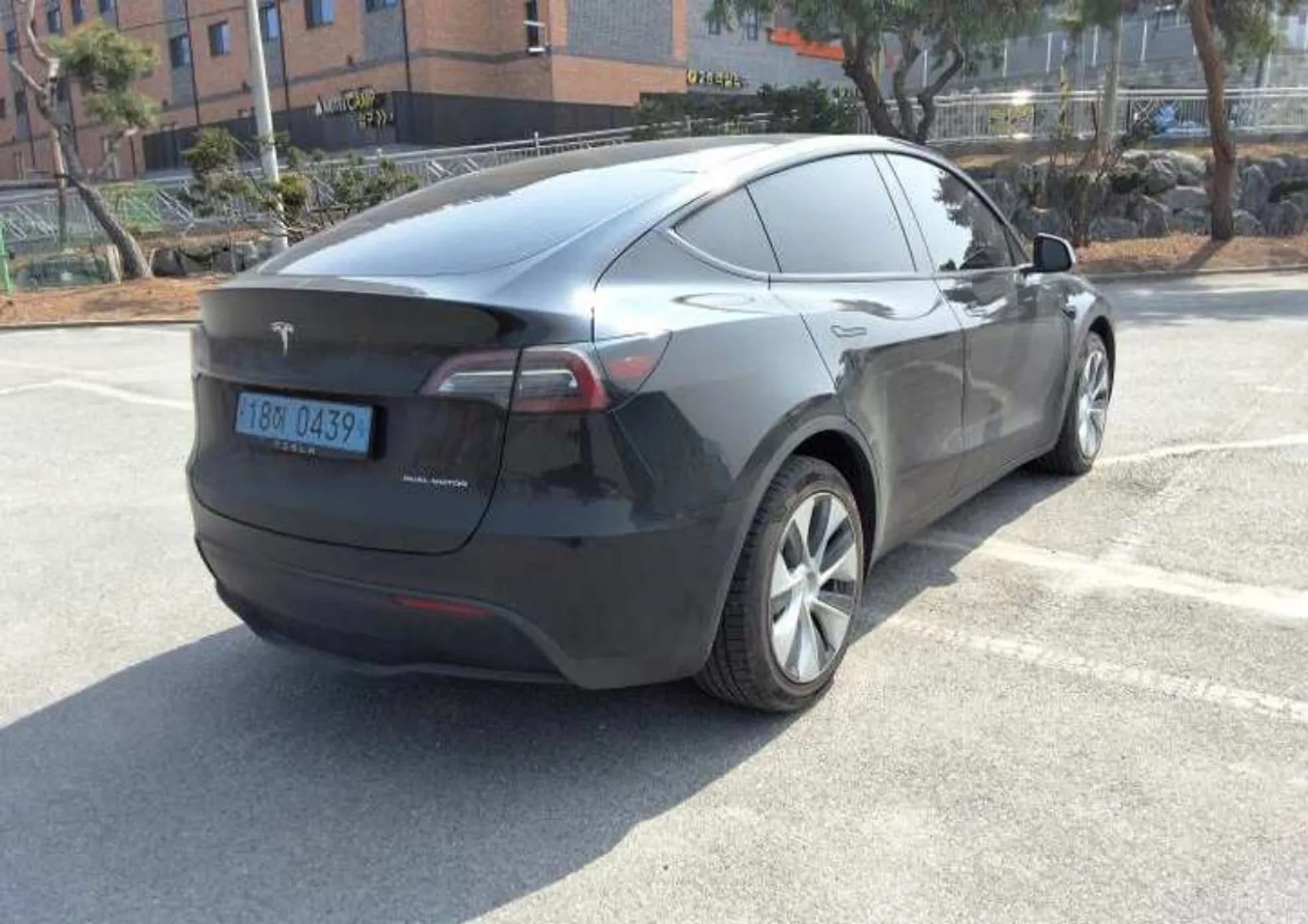 Model Y