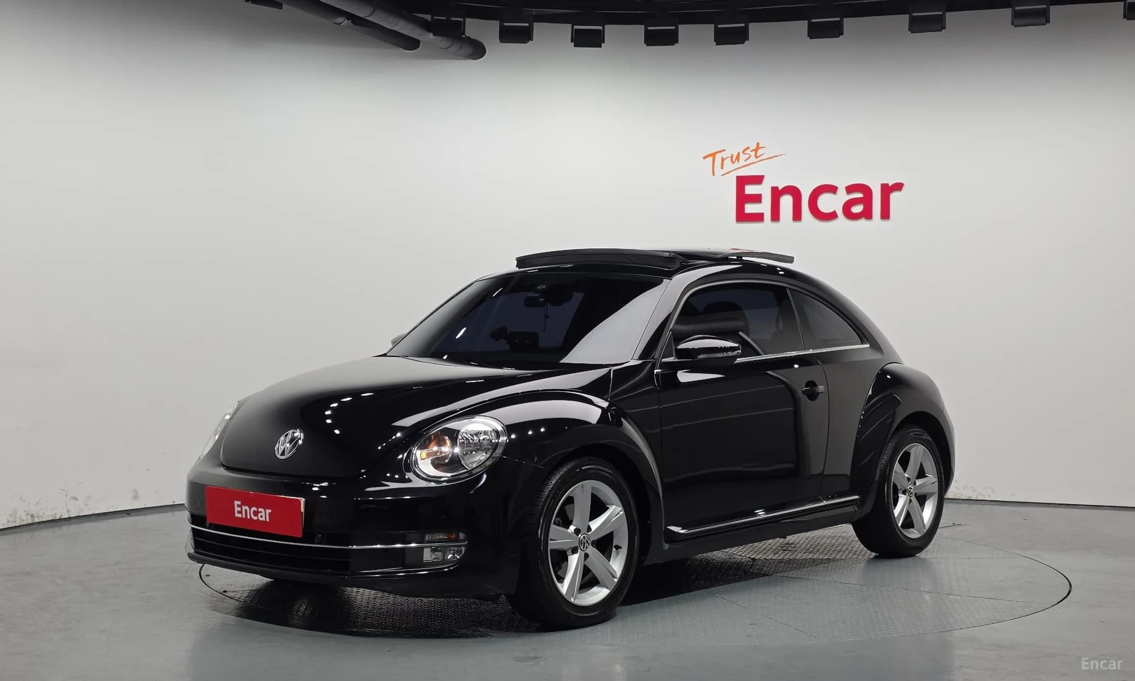 The Beetle