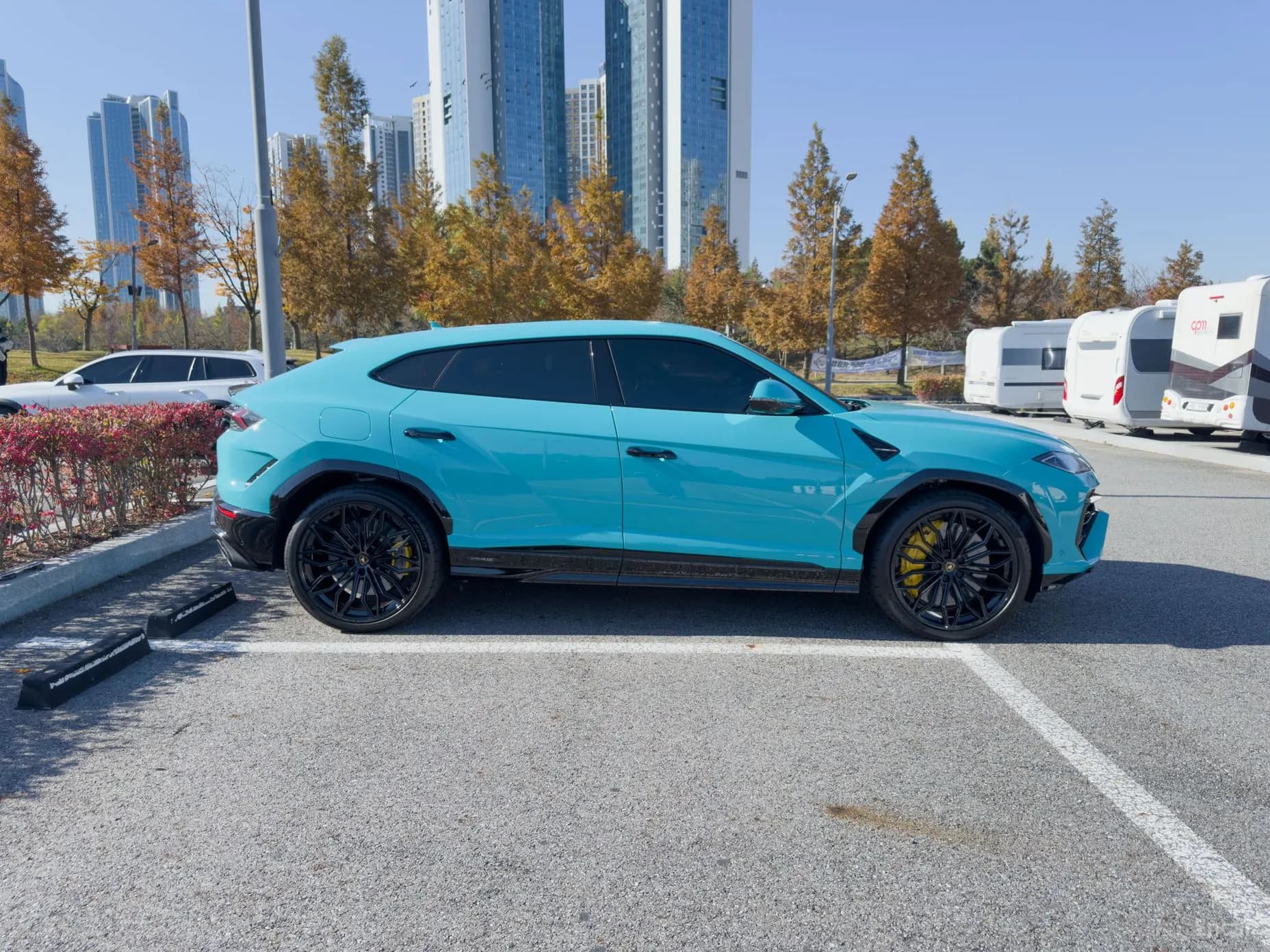 Urus