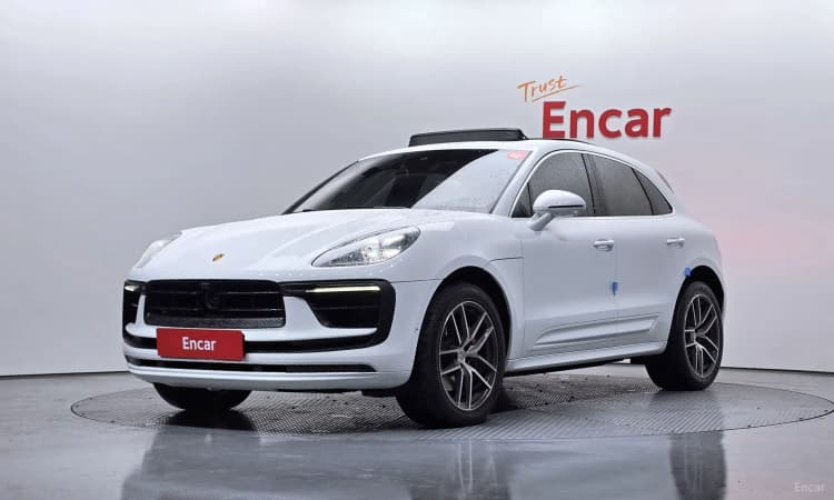 Macan