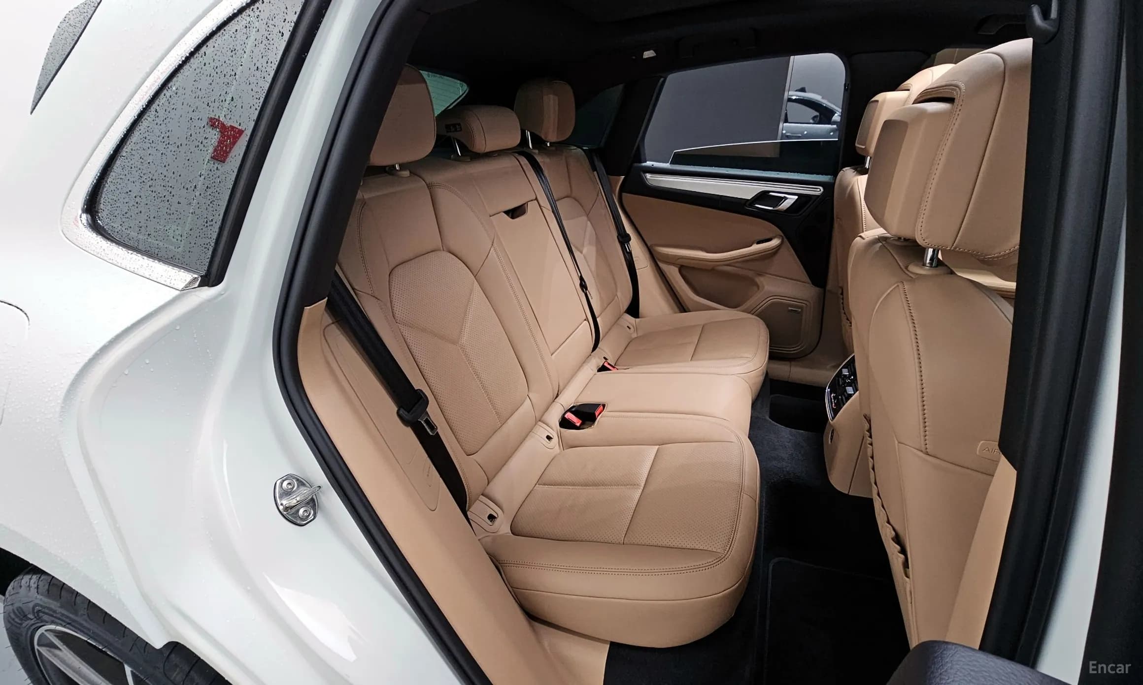 Macan