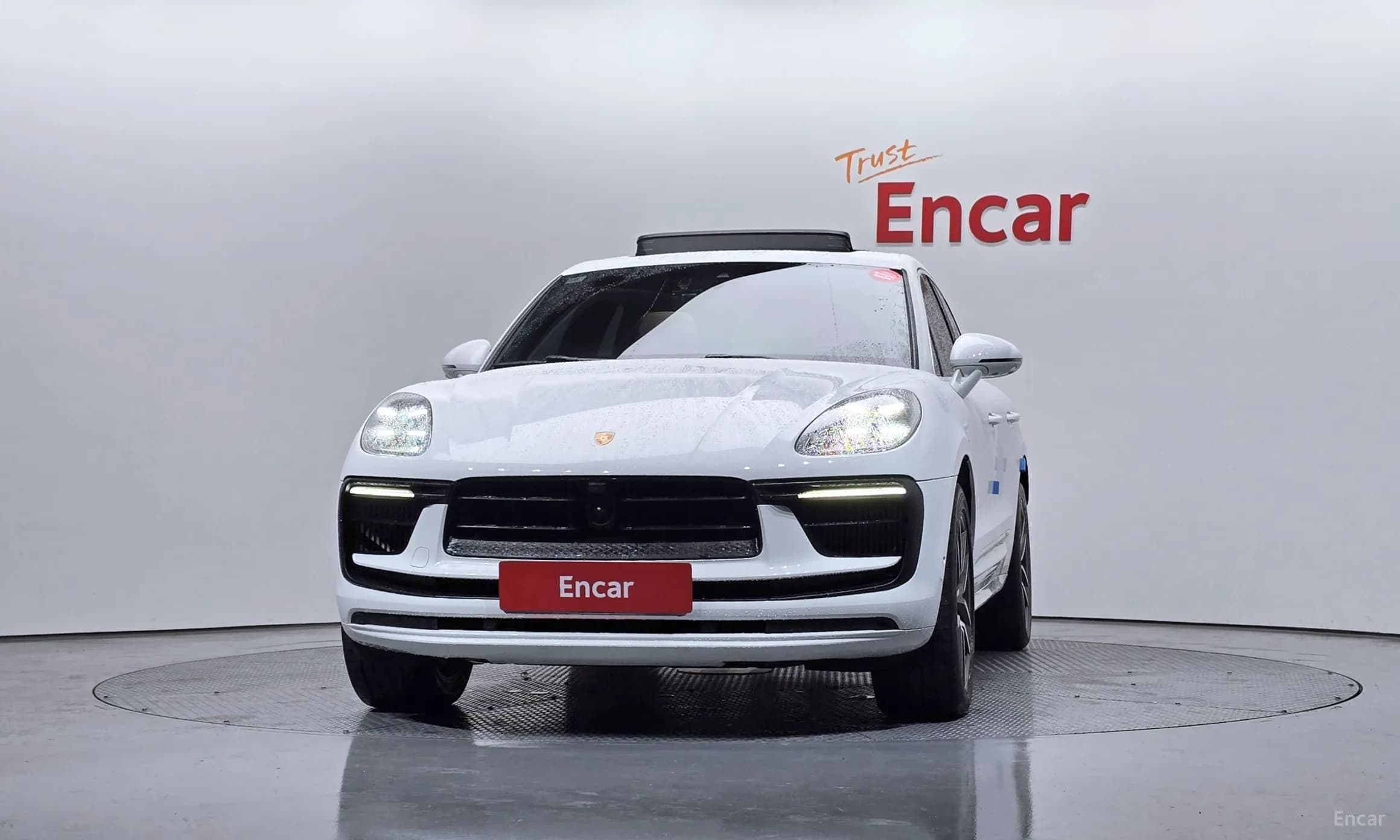 Macan