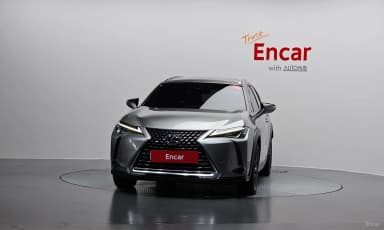 UX250h
