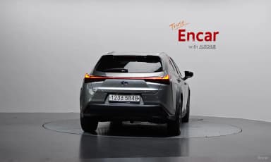 UX250h