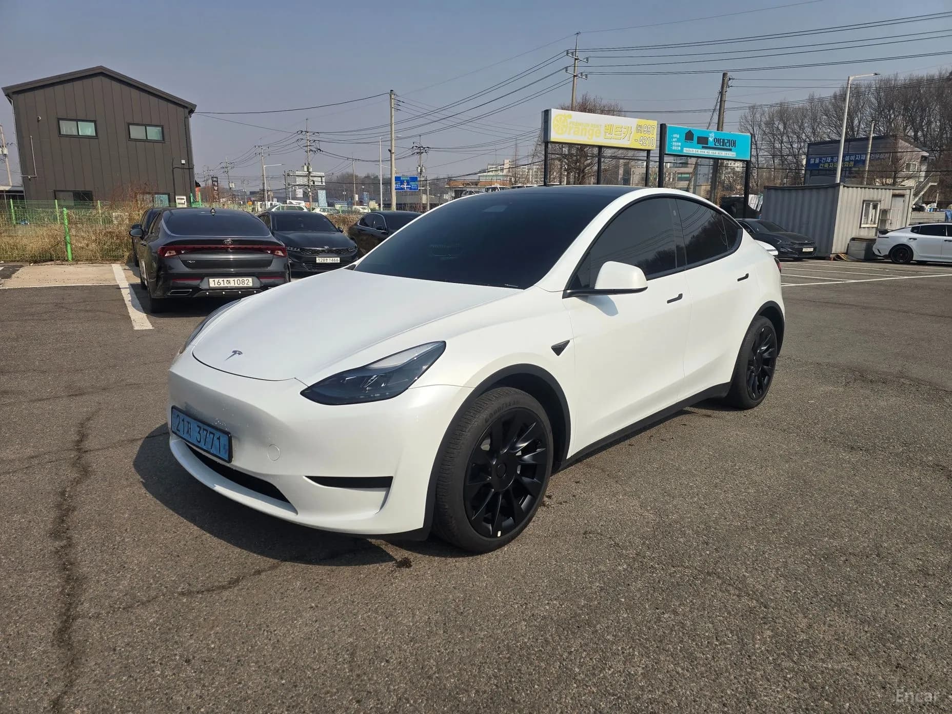 Model Y