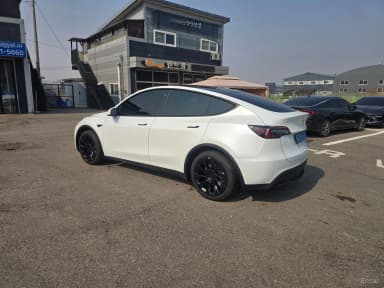 Model Y