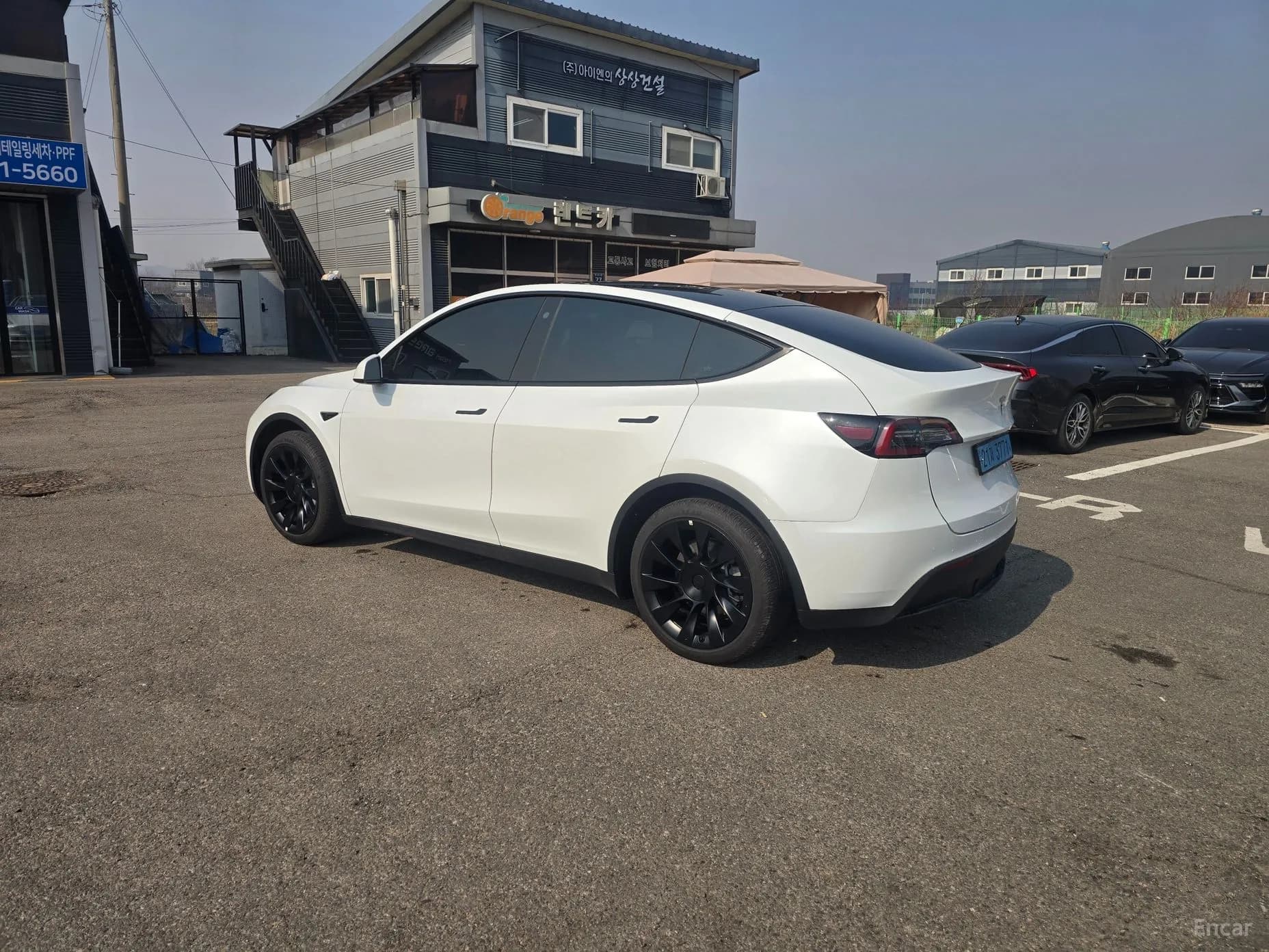 Model Y