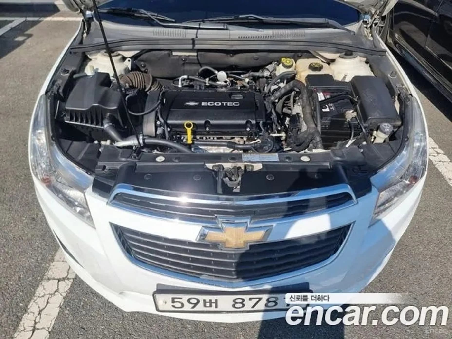 Cruze